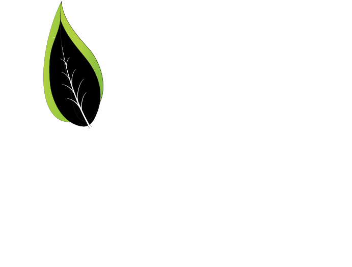 Verde Builders
